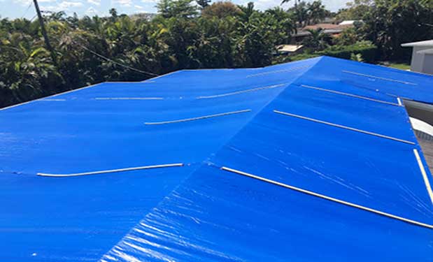 Blue Tarp